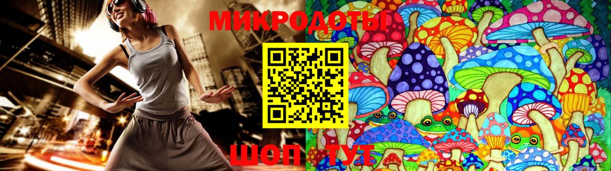 Галлюциногенные грибы Psilocybe Югорск